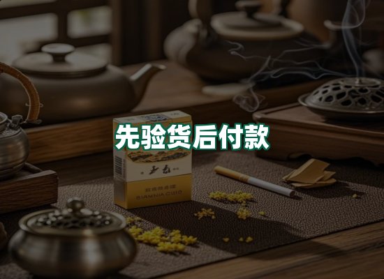 核心优势
